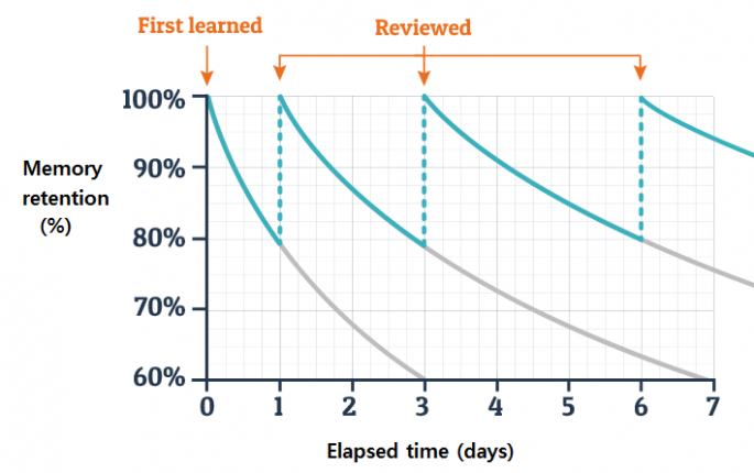 Memory Retention Graph